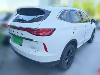 Haval H6 2021, 54300 км, за 76042.08 CNY - фото 6