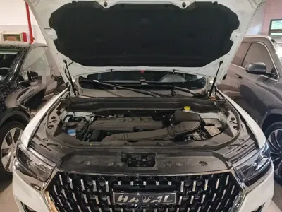 Haval H6 2024, 29900 км, за 70200 CNY - фото 11