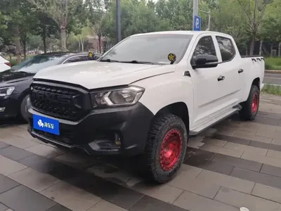 大通 T60 · 2019 год