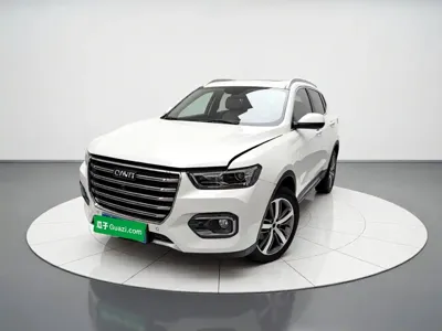 Haval H6 · 2018 год