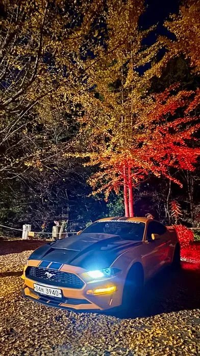 Ford Mustang · 2019 год