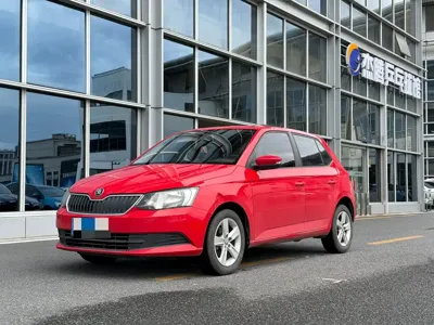 Skoda Fabia · 2016 год