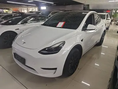 Tesla Model Y · 2023 год