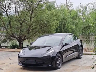 Tesla Model 3 · 2022 год