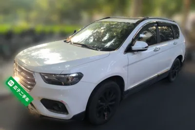 Haval H6 · 2019 год