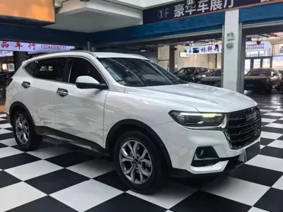 Haval H6 2021, 46000 км, за 72800 CNY - фото 18