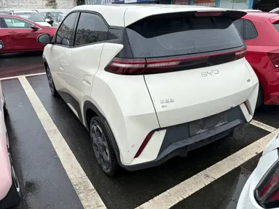 BYD Seagull 2024, 20000 км, за 49800 CNY