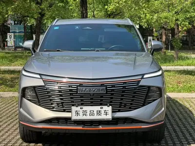 Haval Shenshou 2022, 40000 км, за 55800 CNY - фото 2