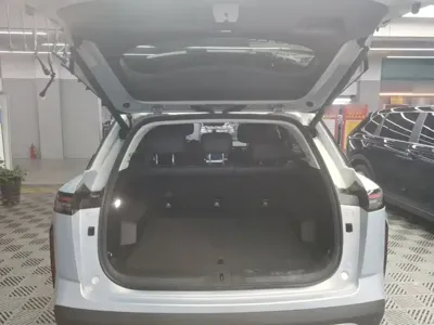 Chery C-DM 2024, 41800 км, за 78100 CNY - фото 15
