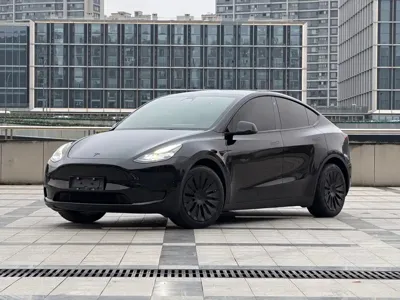 Tesla Model Y · 2022 год