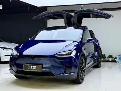 Tesla Model X · 2019 год