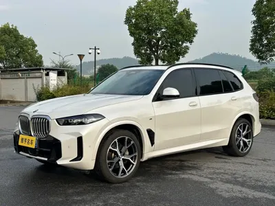 BMW X5 · 2024 год