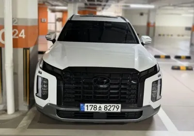 Hyundai Palisade · 2024 год