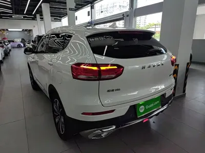 Haval H6 2020, 112400 км, за 41200 CNY - фото 5