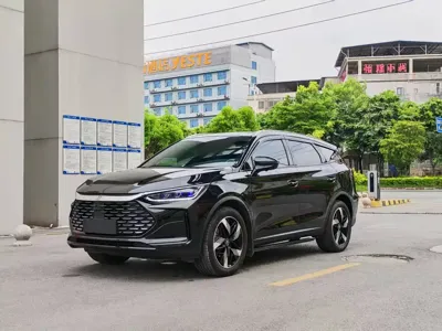 BYD Tang New Energy · 2024 год