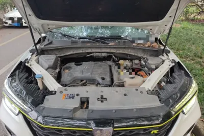 Roewe RX5 New Energy 2020, 84200 км, за 56912.6 CNY - фото 17