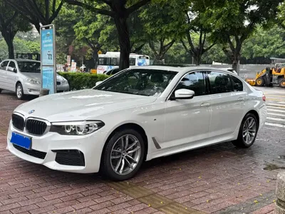 BMW 5 Series · 2020 год