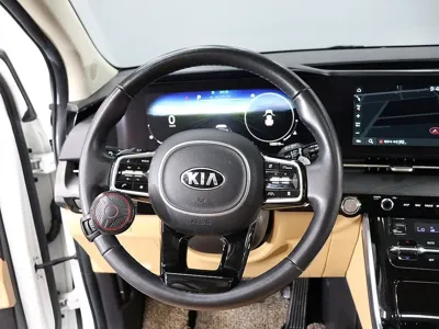 Kia Canival 2021, 122215 км, за 23900000 KRW - фото 15