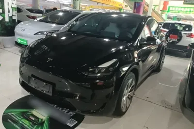 Tesla Model Y · 2022 год