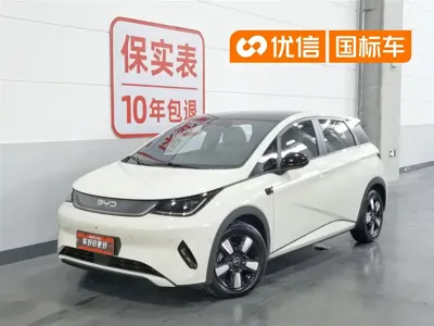 BYD Dolphin 2025, 23400 км, за 75800 CNY - фото 1