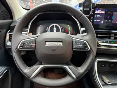 Haval H6 2022, 51000 км, за 59800 CNY - фото 11