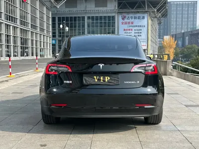 Tesla Model 3 2021, 79000 км, за 109800 CNY - фото 7