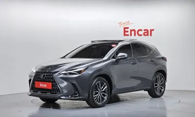 Lexus NX · 2025 год