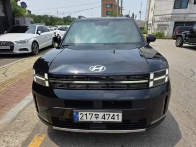 Hyundai Santafe · 2024 год