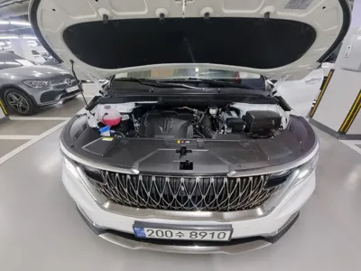Kia Canival 2023, 35049 км, за 20990000 KRW - фото 6