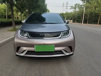 BYD Dolphin 2023, 32300 км, за 62200 CNY - фото 23