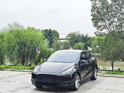 Tesla Model Y · 2021 год