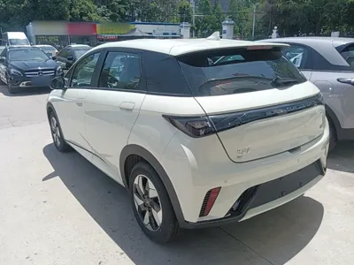 BYD Dolphin 2024, 300 км, за 90754.94 CNY