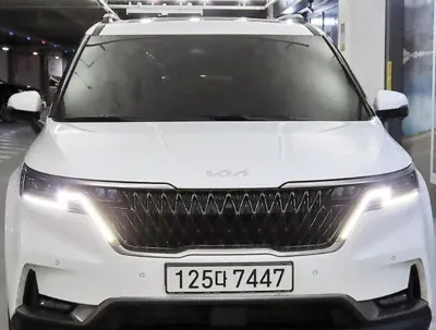 Kia Canival 2022, 25906 км, за 32190000 KRW