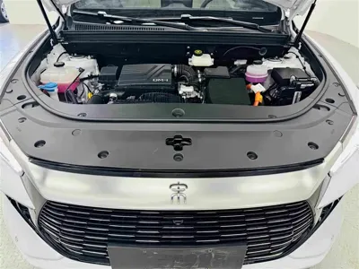 BYD Pro New Energy 2024, 14000 км, за 75800 CNY - фото 31