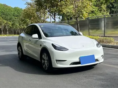 Tesla Model Y 2021, 68000 км, за 78300 CNY