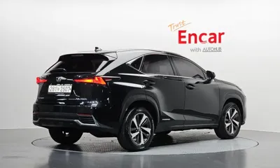 Lexus NX 2021, 107858 км, за 34500000 KRW