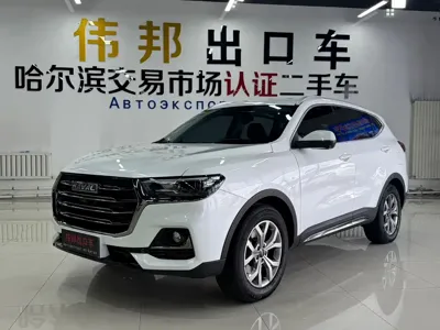 Haval H6 · 2023 год