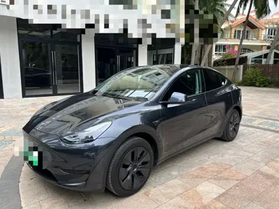 Tesla Model Y · 2024 год