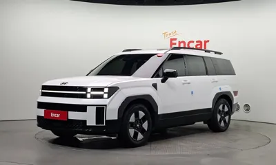 Hyundai Santafe · 2024 год