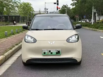 Wuling Bingo 2025, 10000 км, за 53800 CNY