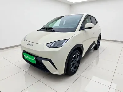 BYD Seagull · 2025 год