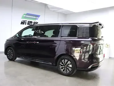 Hongqi Hongqi HQ9 PHEV 2024, 26500 км, за 188500 CNY - фото 7