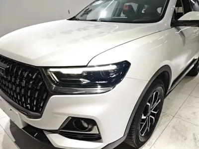 Haval H6 2024, 20200 км, за 67300 CNY - фото 24