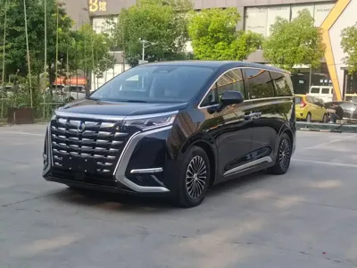 Denza Denza D9 · 2025 год