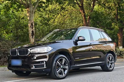 BMW X5 · 2017 год