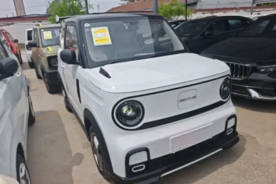 Geely Galaxy Panda 2025, 100 км, за 53405.61 CNY - фото 3