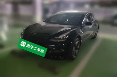 Tesla Model 3 · 2020 год