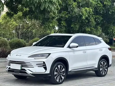 BYD PLUS New Energy · 2024 год