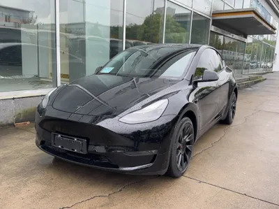 Tesla Model Y · 2021 год