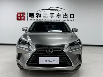 Lexus NX 2019, 68000 км, за 159900 CNY